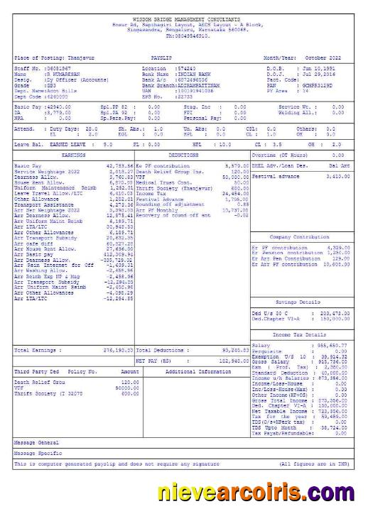 Wisdom Bridge Management Consultants payslip 5